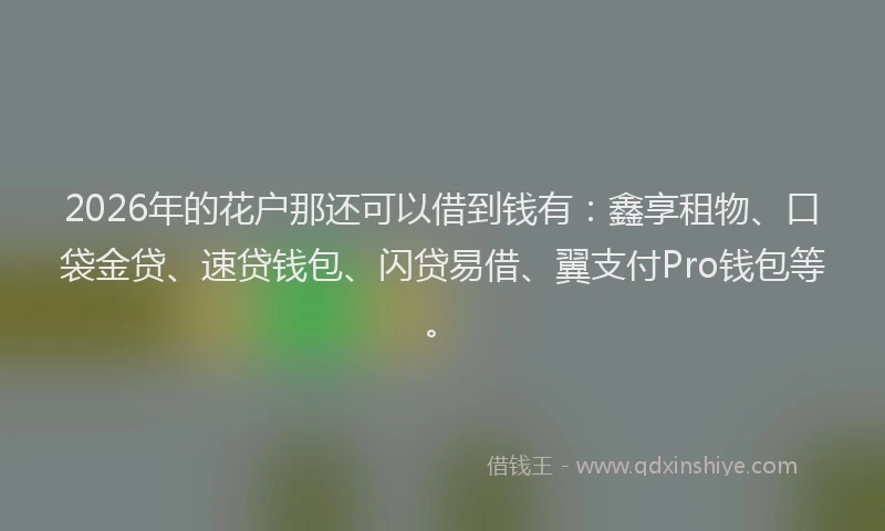 2026年的花户那还可以借到钱有：鑫享租物、口袋金贷、速贷钱包、闪贷易借、翼支付Pro钱包等。