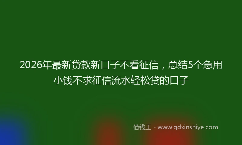 2026年最新贷款新口子不看征信，总结5个急用小钱不求征信流水轻松贷的口子