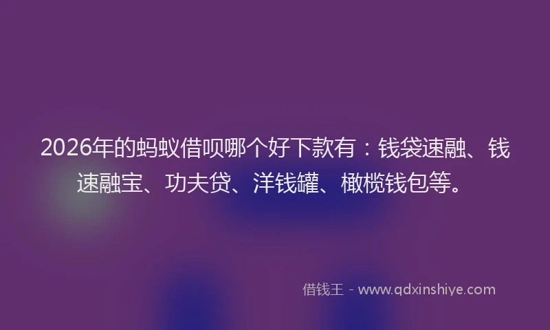 2026年的蚂蚁借呗哪个好下款有：钱袋速融、钱速融宝、功夫贷、洋钱罐、橄榄钱包等。