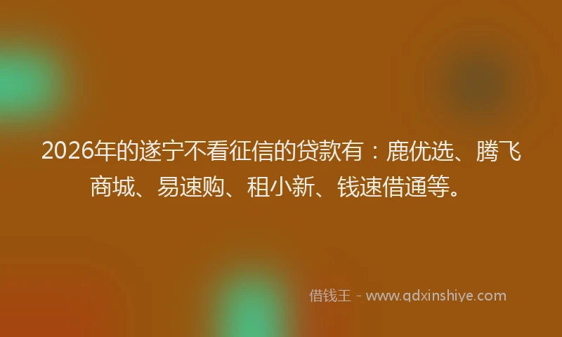 2026年的遂宁不看征信的贷款有：鹿优选、腾飞商城、易速购、租小新、钱速借通等。