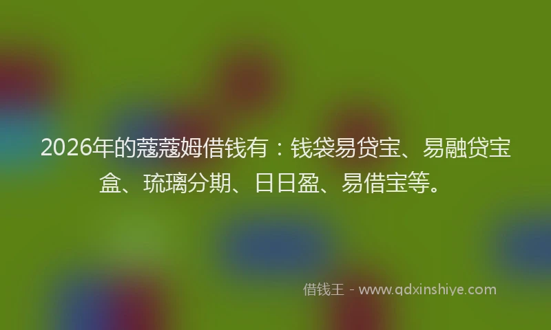 2026年的蔻蔻姆借钱有：钱袋易贷宝、易融贷宝盒、琉璃分期、日日盈、易借宝等。