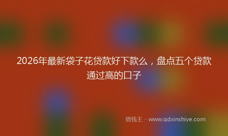 2026年最新袋子花贷款好下款么，盘点五个贷款通过高的口子