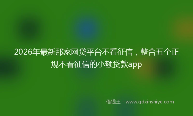 2026年最新那家网贷平台不看征信，整合五个正规不看征信的小额贷款app