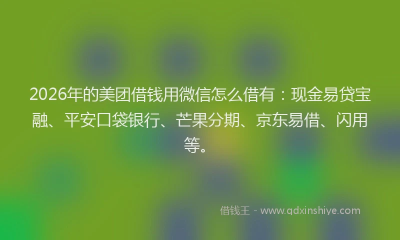 2026年的美团借钱用微信怎么借有：现金易贷宝融、平安口袋银行、芒果分期、京东易借、闪用等。