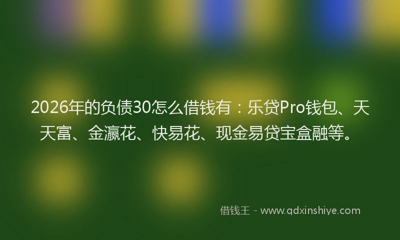 2026年的负债30怎么借钱有：乐贷Pro钱包、天天富、金瀛花、快易花、现金易贷宝盒融等。
