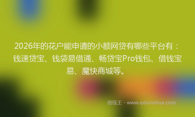 2026年的花户能申请的小额网贷有哪些平台有：钱速贷宝、钱袋易借通、畅贷宝Pro钱包、借钱宝易、魔快商城等。