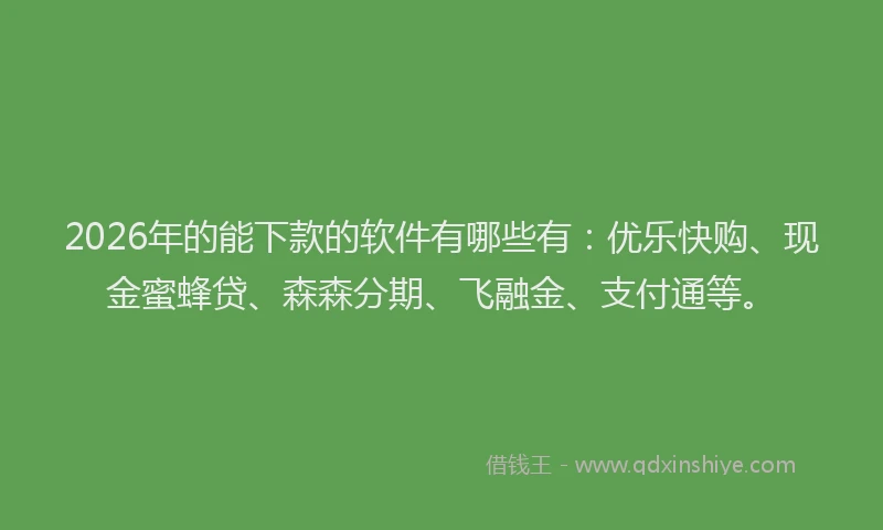 2026年的能下款的软件有哪些有：优乐快购、现金蜜蜂贷、森森分期、飞融金、支付通等。