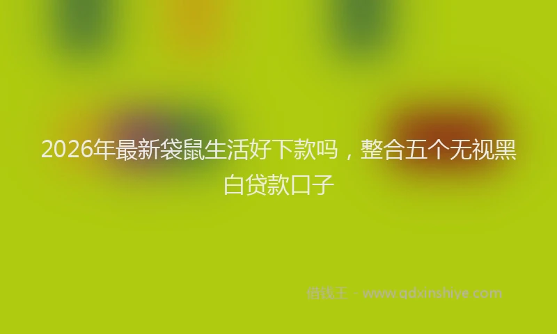 2026年最新袋鼠生活好下款吗，整合五个无视黑白贷款口子