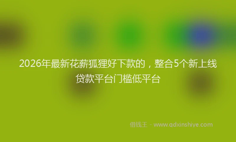 2026年最新花薪狐狸好下款的，整合5个新上线贷款平台门槛低平台