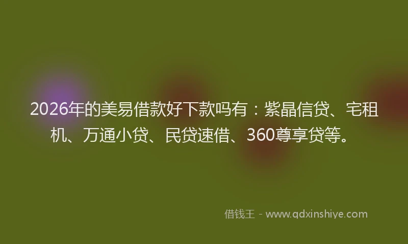 2026年的美易借款好下款吗有：紫晶信贷、宅租机、万通小贷、民贷速借、360尊享贷等。