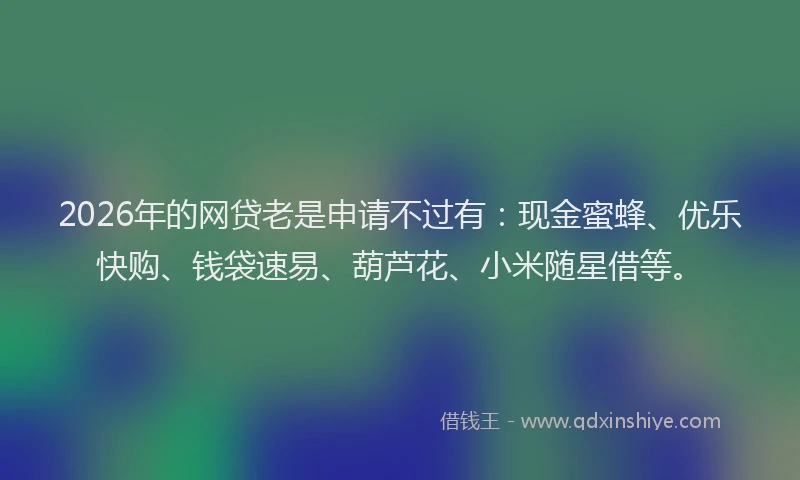 2026年的网贷老是申请不过有：现金蜜蜂、优乐快购、钱袋速易、葫芦花、小米随星借等。