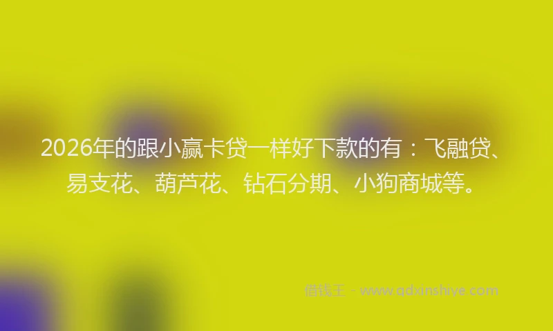 2026年的跟小赢卡贷一样好下款的有：飞融贷、易支花、葫芦花、钻石分期、小狗商城等。