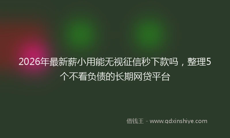 2026年最新薪小用能无视征信秒下款吗，整理5个不看负债的长期网贷平台