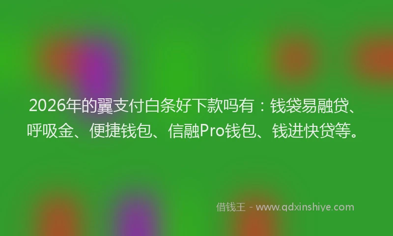 2026年的翼支付白条好下款吗有：钱袋易融贷、呼吸金、便捷钱包、信融Pro钱包、钱进快贷等。