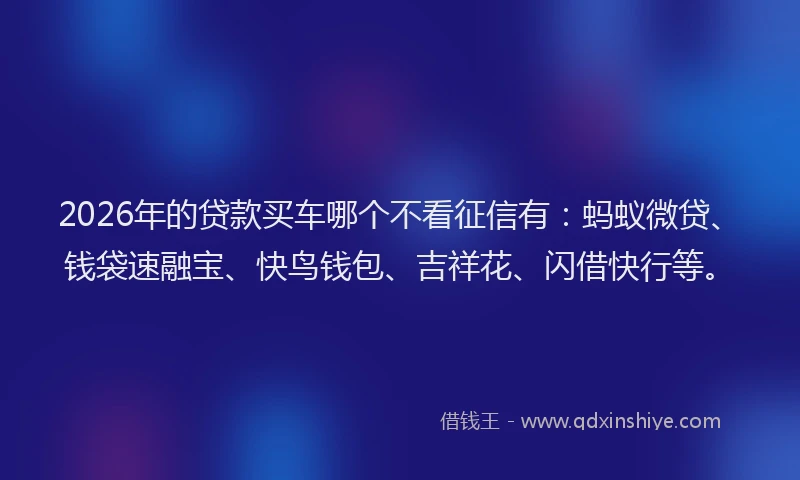 2026年的贷款买车哪个不看征信有：蚂蚁微贷、钱袋速融宝、快鸟钱包、吉祥花、闪借快行等。
