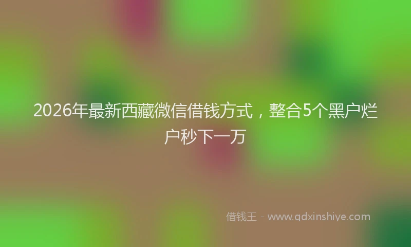 2026年最新西藏微信借钱方式，整合5个黑户烂户秒下一万