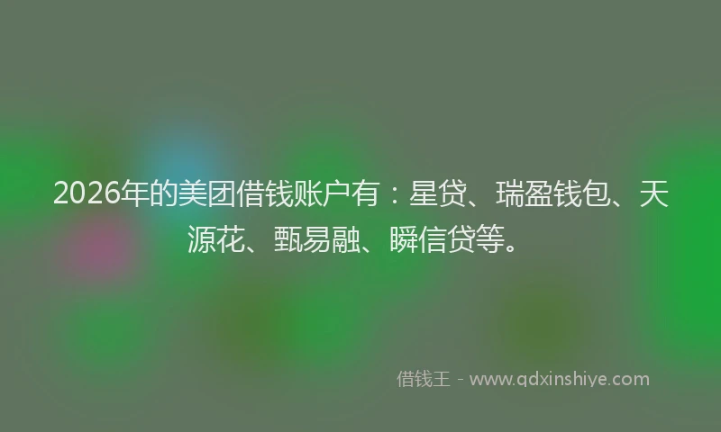 2026年的美团借钱账户有：星贷、瑞盈钱包、天源花、甄易融、瞬信贷等。