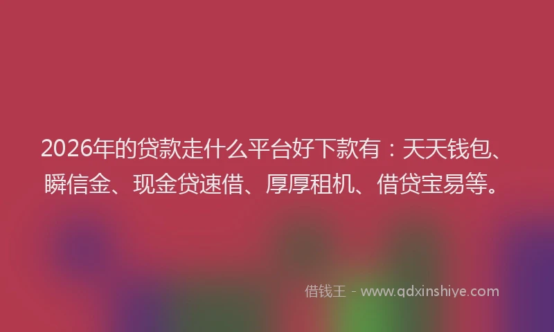 2026年的贷款走什么平台好下款有：天天钱包、瞬信金、现金贷速借、厚厚租机、借贷宝易等。