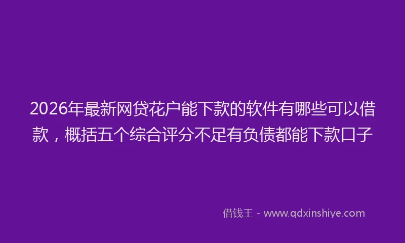 2026年最新网贷花户能下款的软件有哪些可以借款，概括五个综合评分不足有负债都能下款口子