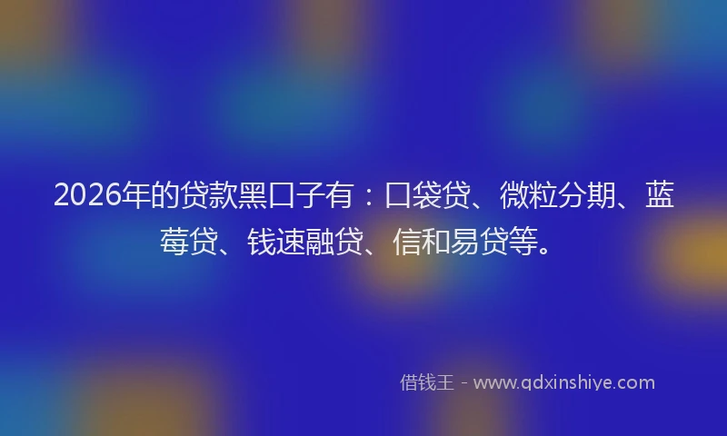 2026年的贷款黑口子有：口袋贷、微粒分期、蓝莓贷、钱速融贷、信和易贷等。