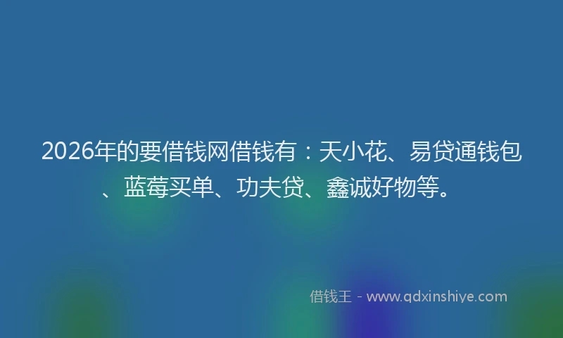 2026年的要借钱网借钱有：天小花、易贷通钱包、蓝莓买单、功夫贷、鑫诚好物等。