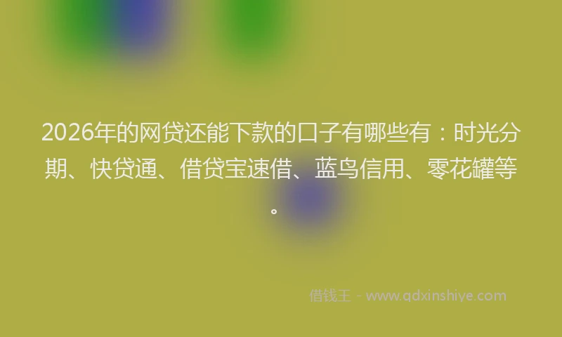 2026年的网贷还能下款的口子有哪些有：时光分期、快贷通、借贷宝速借、蓝鸟信用、零花罐等。