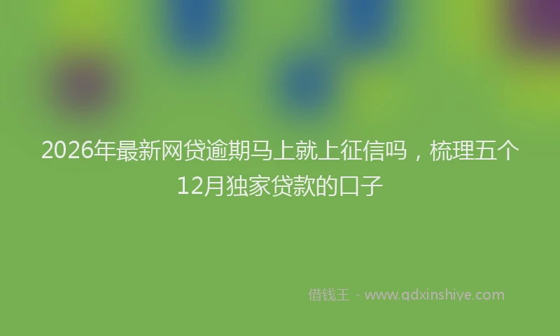 2026年最新网贷逾期马上就上征信吗，梳理五个12月独家贷款的口子