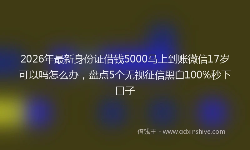 2026年最新身份证借钱5000马上到账微信17岁可以吗怎么办，盘点5个无视征信黑白100%秒下口子
