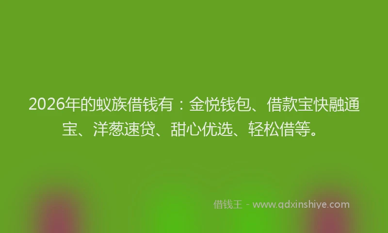 2026年的蚁族借钱有：金悦钱包、借款宝快融通宝、洋葱速贷、甜心优选、轻松借等。