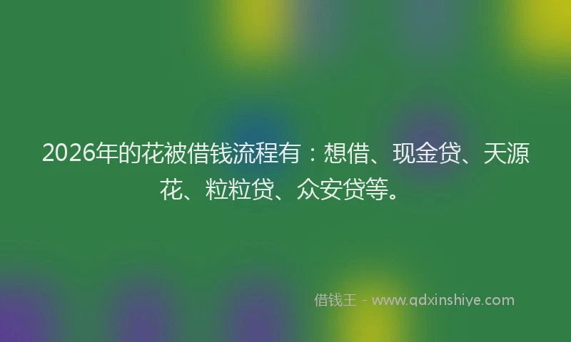 2026年的花被借钱流程有：想借、现金贷、天源花、粒粒贷、众安贷等。
