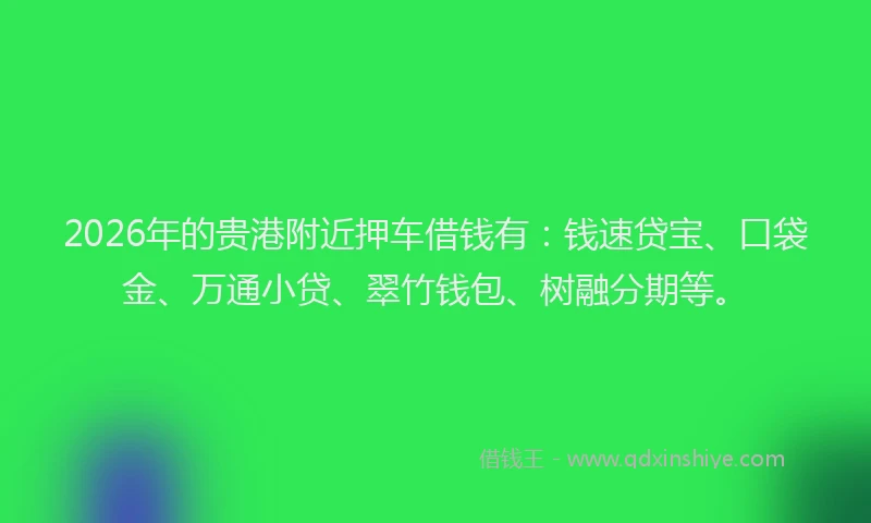 2026年的贵港附近押车借钱有：钱速贷宝、口袋金、万通小贷、翠竹钱包、树融分期等。