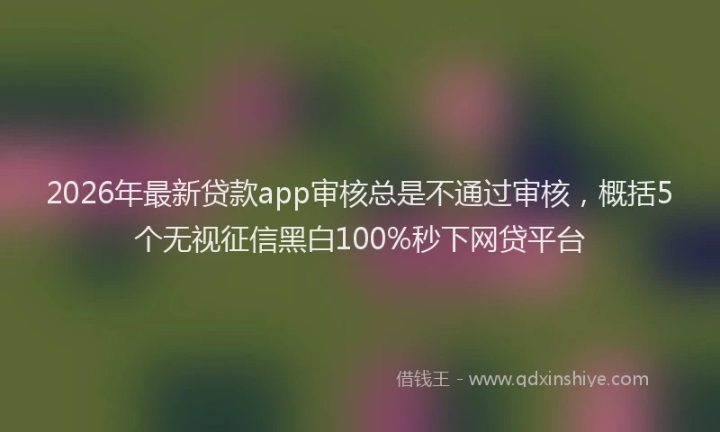 2026年最新贷款app审核总是不通过审核，概括5个无视征信黑白100%秒下网贷平台