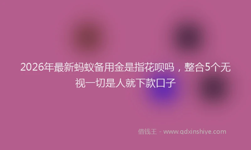 2026年最新蚂蚁备用金是指花呗吗，整合5个无视一切是人就下款口子