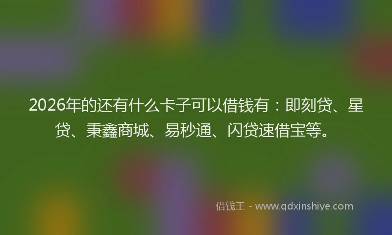 2026年的还有什么卡子可以借钱有：即刻贷、星贷、秉鑫商城、易秒通、闪贷速借宝等。