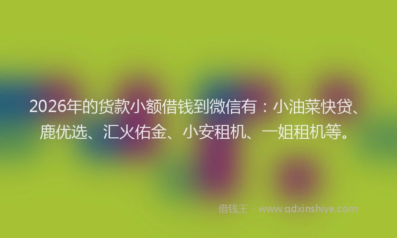 2026年的货款小额借钱到微信有：小油菜快贷、鹿优选、汇火佑金、小安租机、一姐租机等。