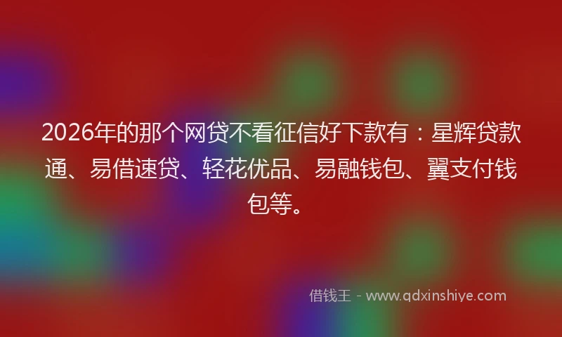 2026年的那个网贷不看征信好下款有：星辉贷款通、易借速贷、轻花优品、易融钱包、翼支付钱包等。