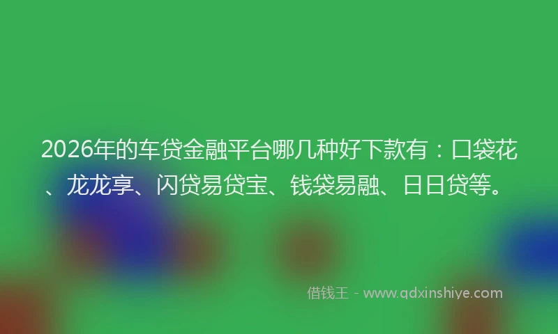 2026年的车贷金融平台哪几种好下款有：口袋花、龙龙享、闪贷易贷宝、钱袋易融、日日贷等。