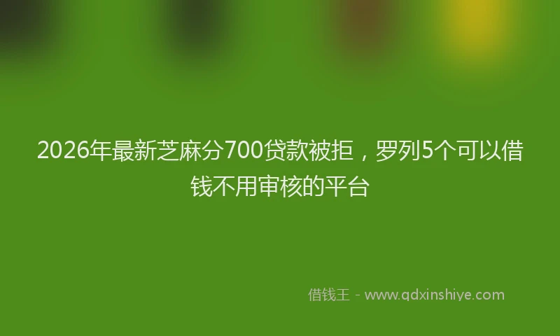 2026年最新芝麻分700贷款被拒，罗列5个可以借钱不用审核的平台