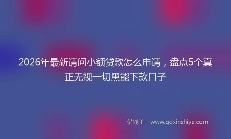2026年最新请问小额贷款怎么申请，盘点5个真正无视一切黑能下款口子