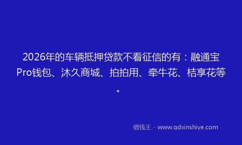 2026年的车辆抵押贷款不看征信的有：融通宝Pro钱包、沐久商城、拍拍用、牵牛花、桔享花等。