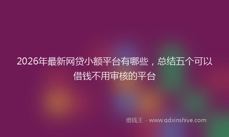 2026年最新网贷小额平台有哪些，总结五个可以借钱不用审核的平台