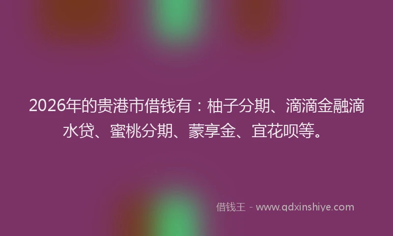 2026年的贵港市借钱有：柚子分期、滴滴金融滴水贷、蜜桃分期、蒙享金、宜花呗等。