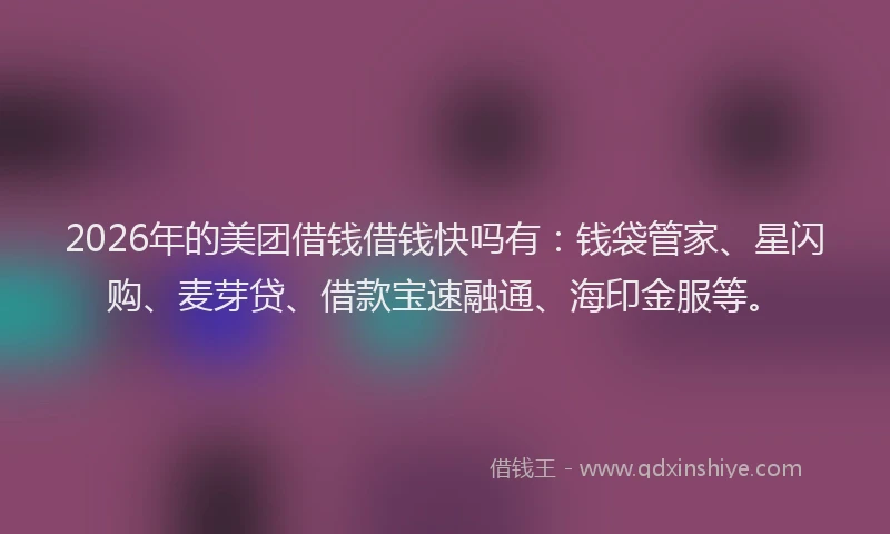 2026年的美团借钱借钱快吗有：钱袋管家、星闪购、麦芽贷、借款宝速融通、海印金服等。