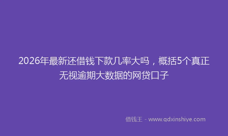 2026年最新还借钱下款几率大吗，概括5个真正无视逾期大数据的网贷口子