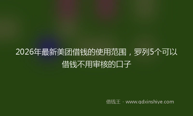 2026年最新美团借钱的使用范围，罗列5个可以借钱不用审核的口子