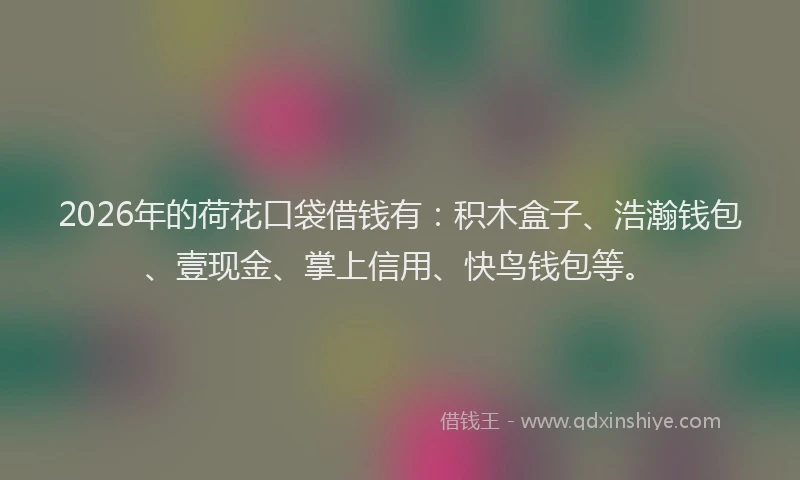 2026年的荷花口袋借钱有：积木盒子、浩瀚钱包、壹现金、掌上信用、快鸟钱包等。