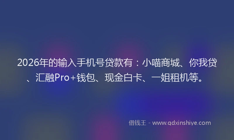 2026年的输入手机号贷款有：小喵商城、你我贷、汇融Pro+钱包、现金白卡、一姐租机等。