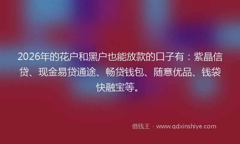 2026年的花户和黑户也能放款的口子有：紫晶信贷、现金易贷通途、畅贷钱包、随意优品、钱袋快融宝等。