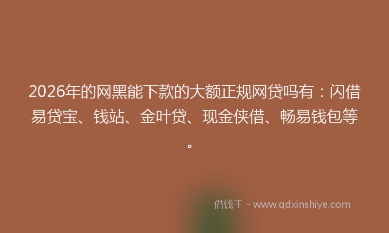 2026年的网黑能下款的大额正规网贷吗有：闪借易贷宝、钱站、金叶贷、现金侠借、畅易钱包等。
