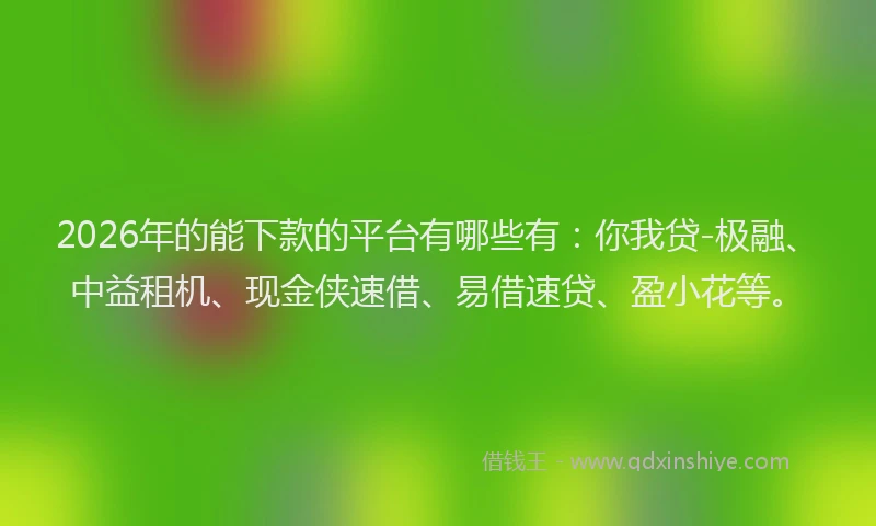 2026年的能下款的平台有哪些有：你我贷-极融、中益租机、现金侠速借、易借速贷、盈小花等。